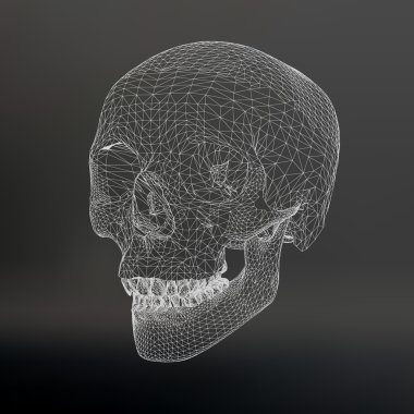 White polygonal skull on white studio background.