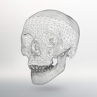 White polygonal skull on white studio background.