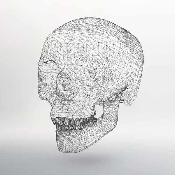 White polygonal skull on white studio background. — 스톡 벡터