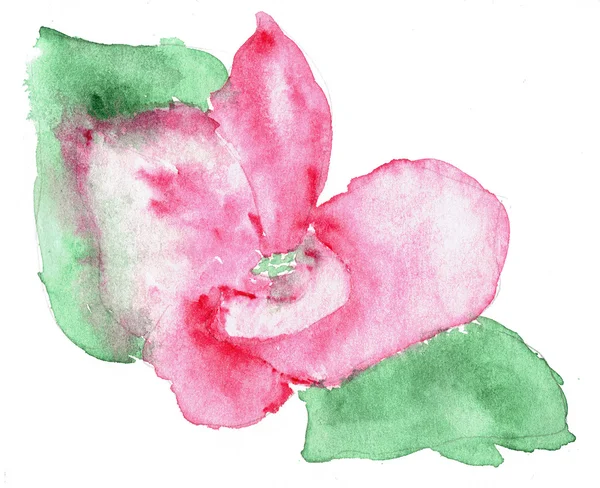 Stilize lotus çiçeği suluboya çizimi. Suluboya resimler çiçek renk gösterimi. — Stok fotoğraf
