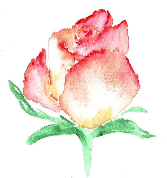 Aquarell-Illustration einer stilisierten Rosenblume. Farbige Illustration von Blumen in Aquarellbildern. — Stockfoto