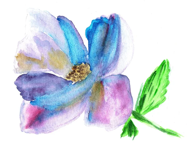 Watercolor illustration of stylized wild flower. Color illustration of flowers in watercolor paintings. — Stock Photo, Image