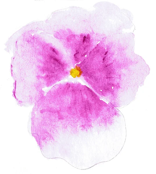 양식된 팬 지 꽃의 수채화 그림입니다. 수채화 그림에 꽃의 컬러 일러스트. — 스톡 사진