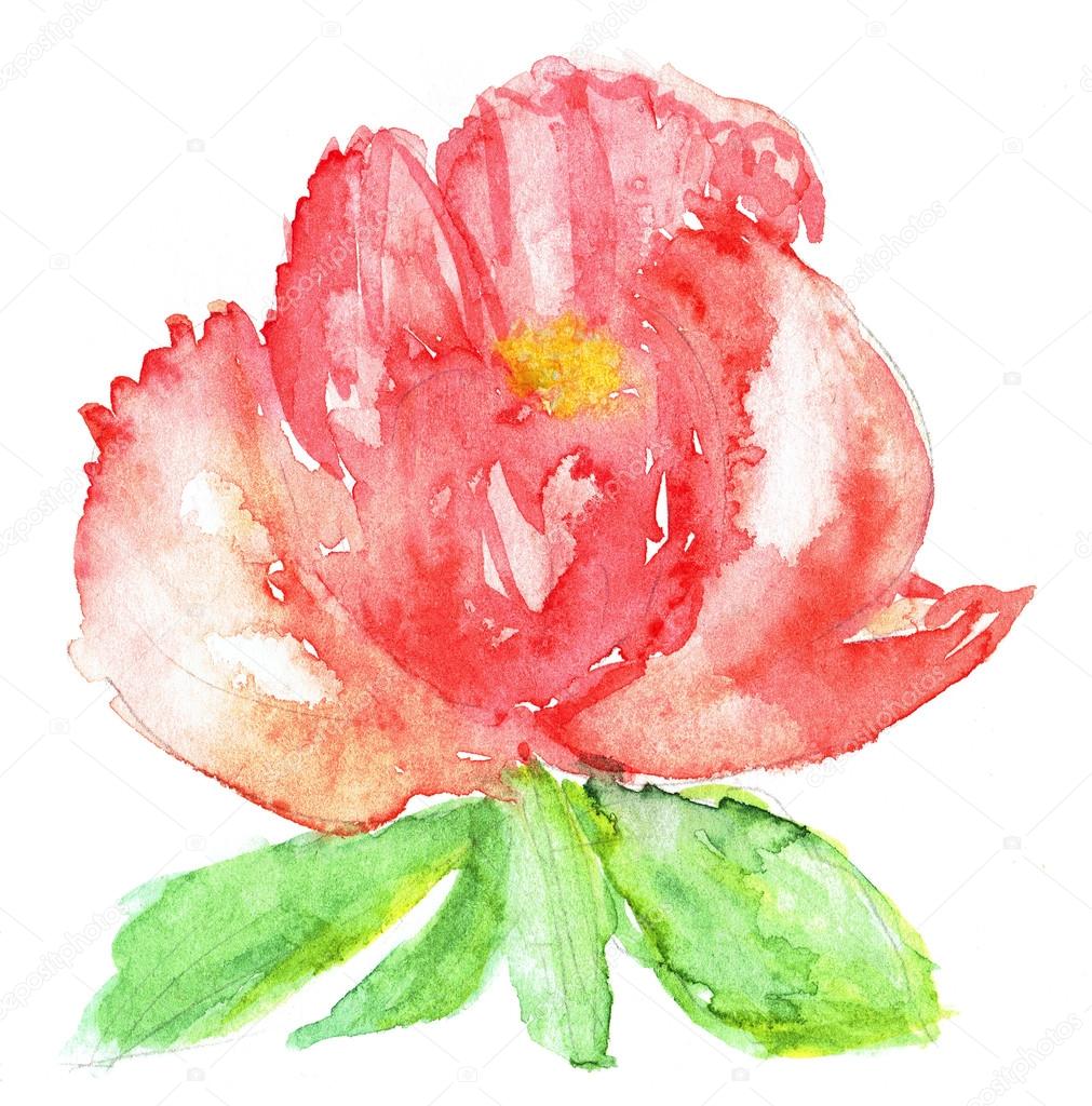 Watercolor illustration of stylized peony flower. Color illustration of flowers in watercolor paintings.