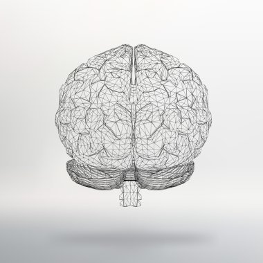 Vektör illüstrasyon insan beyni. Çokgenler yapısal kılavuz. Yaratıcı soyut kavram vektör arka plan. Moleküler kafes. Poligonal tasarım stili Antet ve broşür.