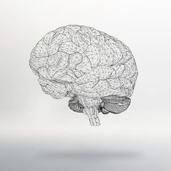 Ilustración vectorial cerebro humano. La cuadrícula estructural de los polígonos. Resumen Concepto creativo vector fondo. Rejilla molecular. Estilo de diseño poligonal membrete y folleto . — Vector de stock