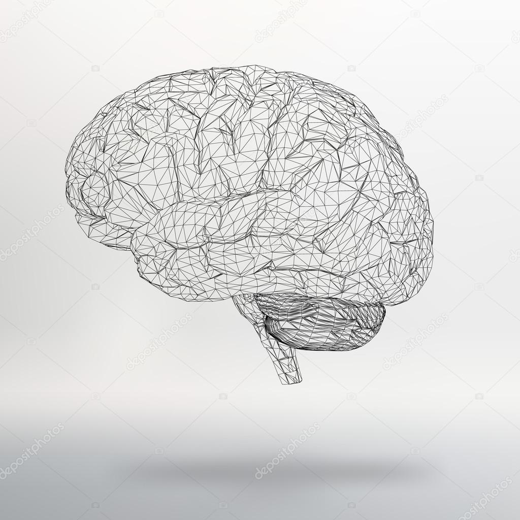 Vector illustration human brain. The structural grid of polygons. Abstract Creative concept vector background. Molecular lattice. Polygonal design style letterhead and brochure.