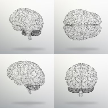 Vector illustration Set human brain. The structural grid of polygons. Abstract Creative concept vector background. Molecular lattice. Polygonal design style letterhead and brochure.