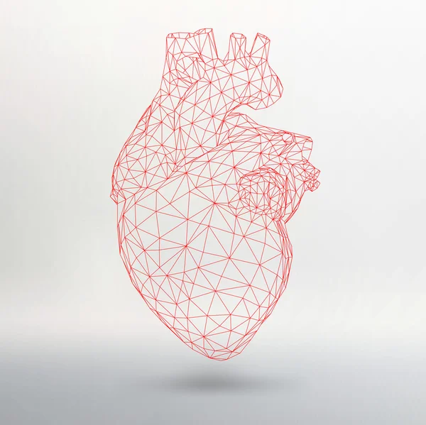 Concepto creativo Antecedentes del corazón humano. Ilustración vectorial eps 10 para su diseño . — Vector de stock