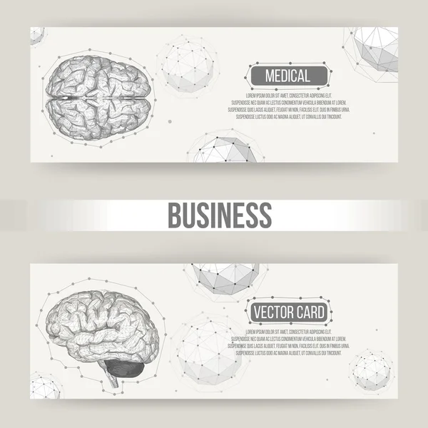Векторный фон человеческого мозга. Многоугольный дизайн фирменный бланк и брошюра для бизнеса. 10 векторов для вашего дизайна . — стоковый вектор