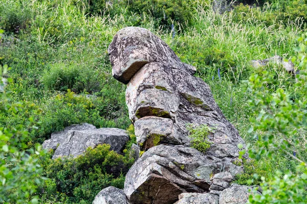 Reusachtig Stenen Idool Het Wild — Stockfoto