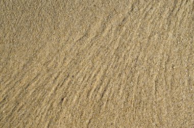 Bir dalga sonra kum izlemeler 