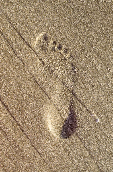 Imprint barefoot child feet in the sand — Stock Photo, Image