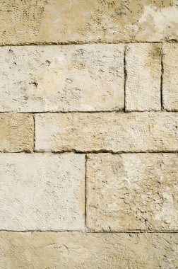 eski taş duvar portre  