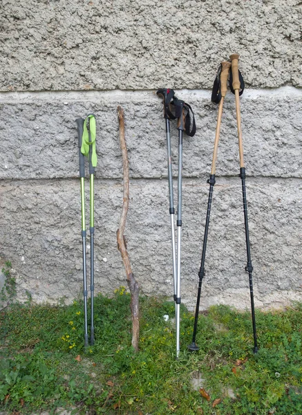 Different Types Hiking Poles One Curved Wooden Stic — Stock Photo, Image