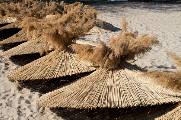 Many Reed Umbrellas Pile Beach Spring Anticipated Summe — Stock Photo, Image