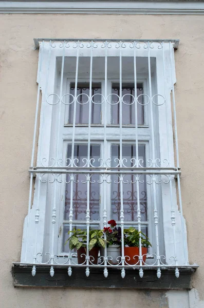 Gamla Trä Vitt Fönster Med Dekorativ Metall Grill Och Blomma — Stockfoto