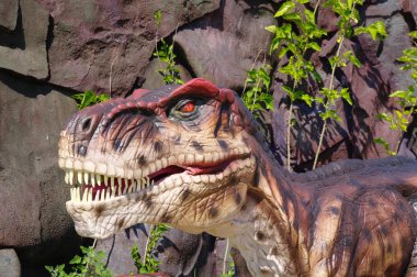 dinozor Tyrannosaurus rex