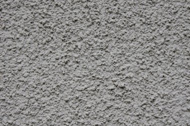 gri kaba sıva duvar portre üzerinde