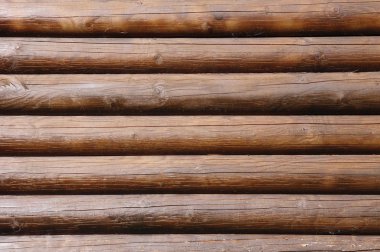 Ahşap panel doku portre