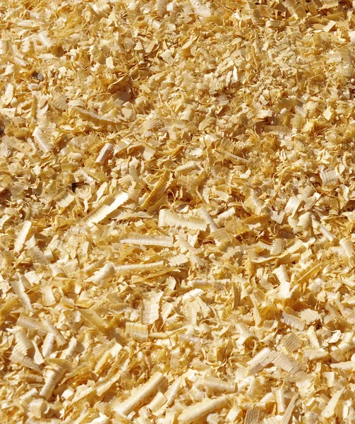 Wood chips — Stock Photo, Image