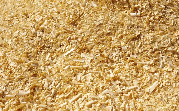 Wood chips — Stock Photo, Image