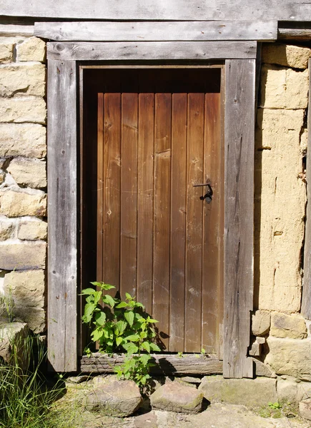 Old wooden door with nettle — Stock Photo, Image