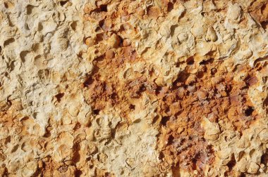 Kaplama taş closeup döşer