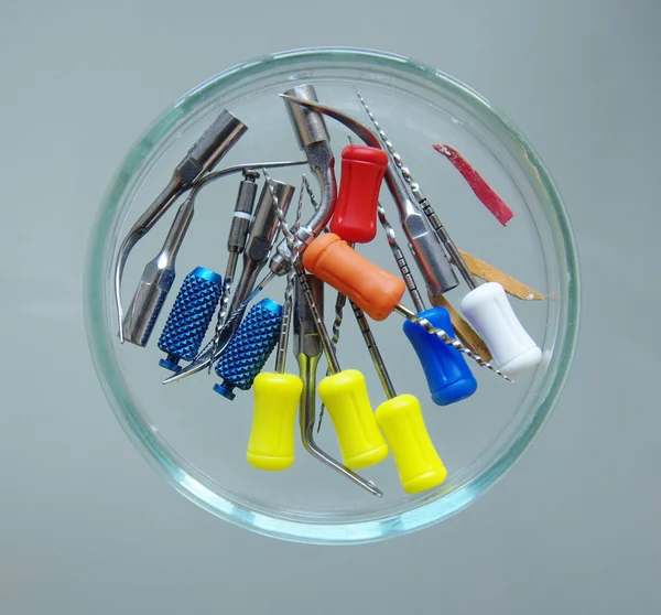 Endodontic  Equipment in Petri dish glass — Stock Photo, Image