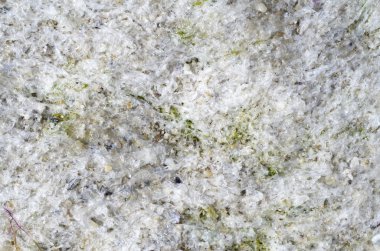 Beyaz yosun güneşli beachx ıslak 