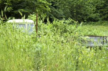 Eski terk edilmiş büyümüş araba