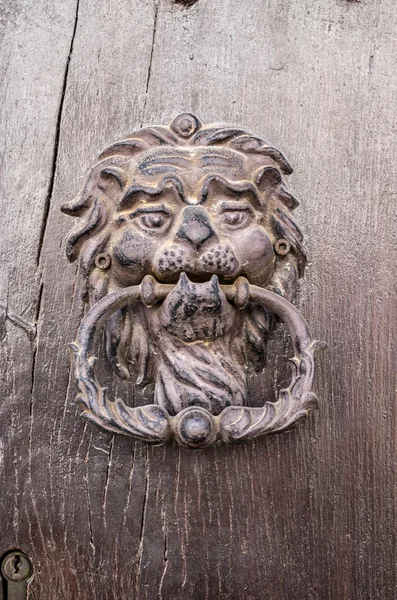 Lion head, Door knocker on old wooden door — Stock Photo, Image