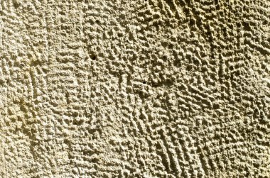 Duvarda işlenmiş taş portre