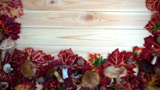 Autumn background of bright leaves mushrooms, red berries on Board — Stock Video