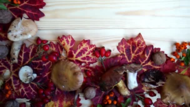 Őszi háttér világos levelek gomba, piros bogyók a fedélzeten — Stock videók