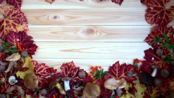 Herfst achtergrond van heldere bladeren champignons, rode bessen aan boord — Stockvideo
