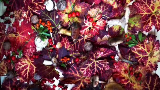 明るい葉のキノコ、ボード上の赤い果実の秋の背景 — ストック動画