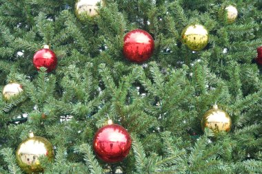 Çok renkli topları ve dekorasyonu olan Noel ağacı.