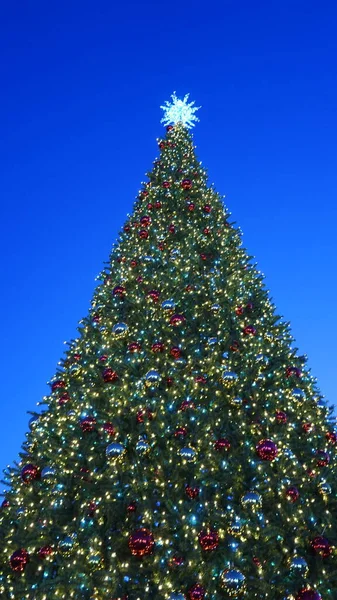 Christmas tree with garlands of glowing and decorations, blue sky — Stock fotografie