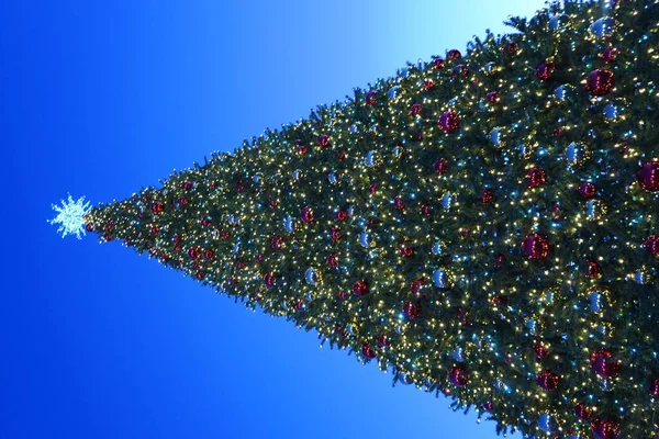 Різдвяна ялинка з гірляндами світяться і прикрашають, блакитне небо — стокове фото