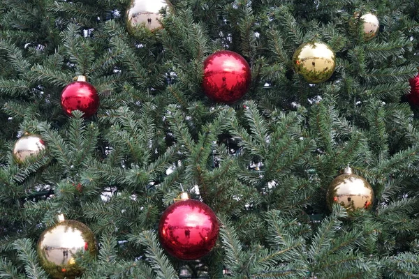 Vánoční stromek s multi-barevné koule a dekorace pozadí — Stock fotografie