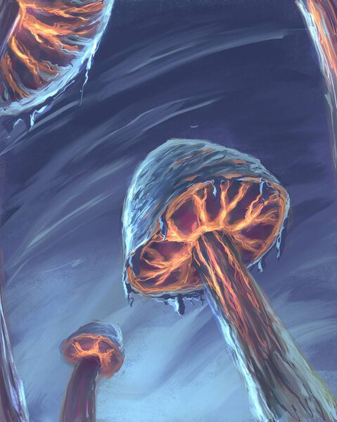 Огромные фантазийные грибы ночью 