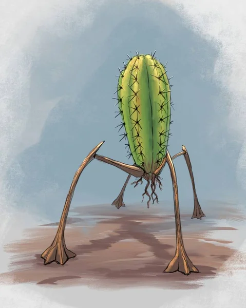 Fantázia Kaktuszok Lábakon — Stock Fotó