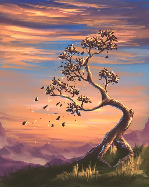 日落时山中的树 — 图库照片