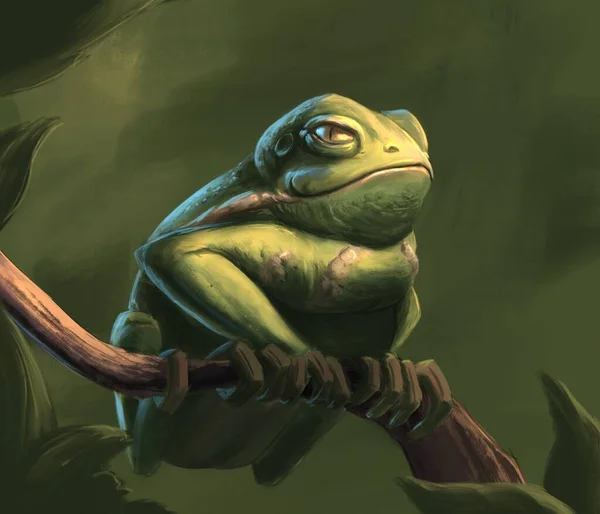 Frog Tree Branch — Stock Photo, Image