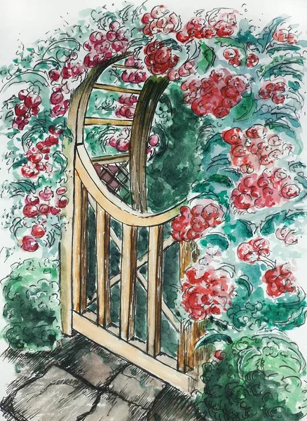 Watercolor drawing of the garden