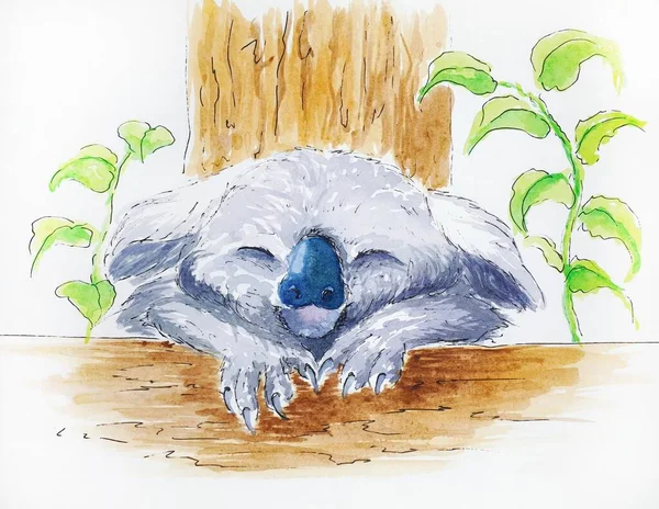 Küçük Sevimli Kaygan Koala — Stok fotoğraf