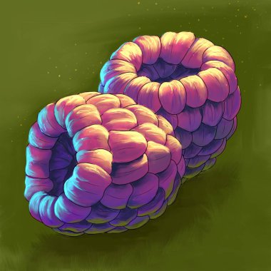 Ahududu ağacının güzel bir çizimi 