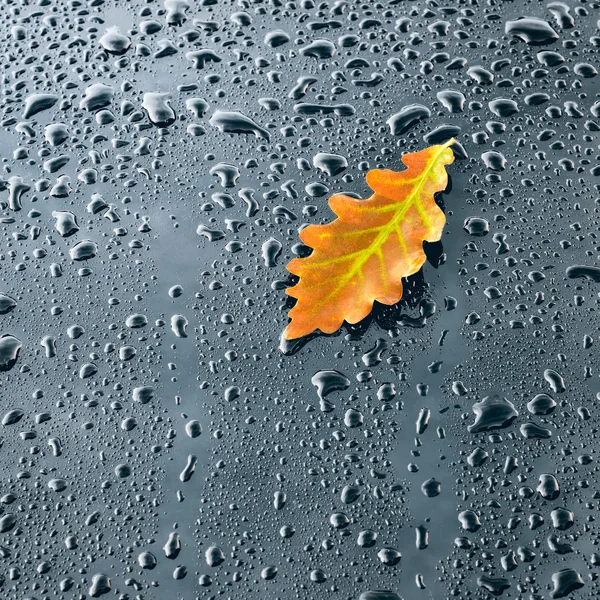 Water Drops on Polished Car paint with Leaf — Stock Photo, Image