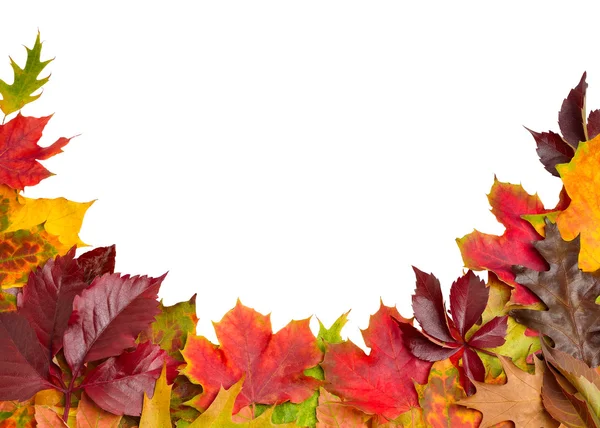 Autumn Leaves Border on White - clipping path — Stock Photo, Image